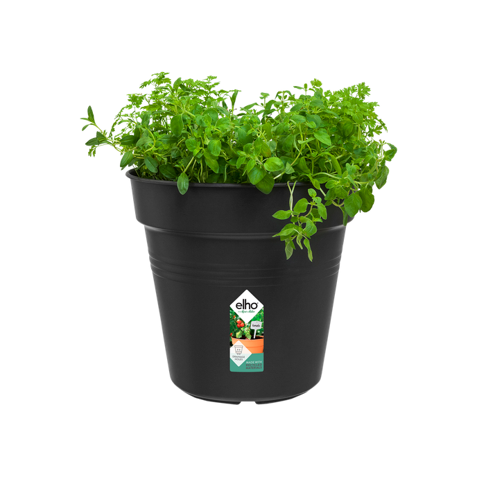 green basics growpot 24cm living black